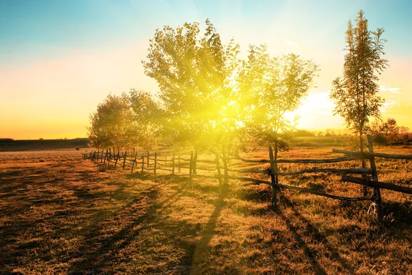 Zemědělská půda v západu slunce — Stock fotografie