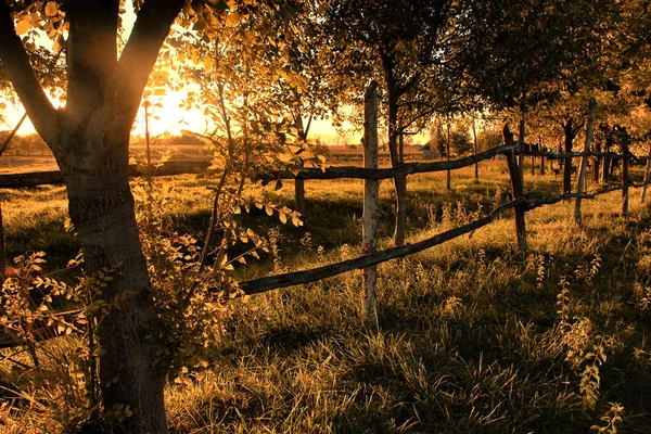 Terras agrícolas ao pôr do sol — Fotografia de Stock