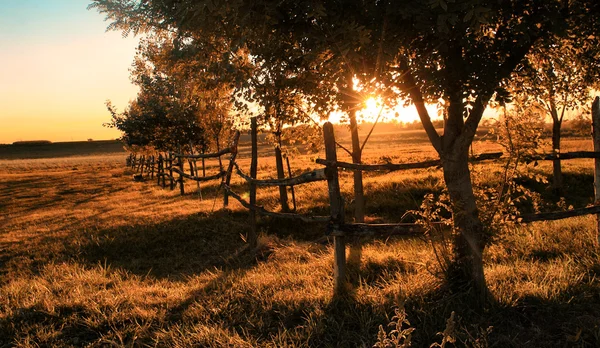 Landbouwgrond in zonsondergang — Stockfoto