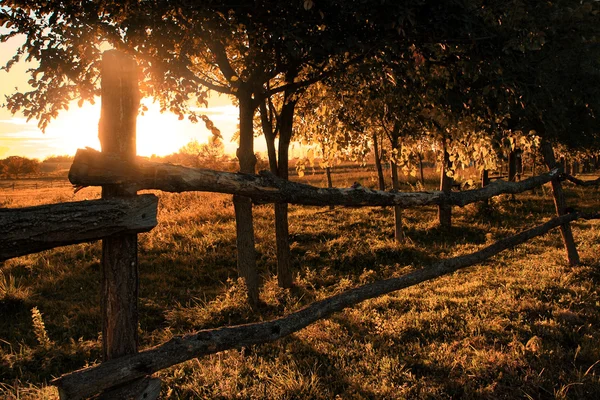 Terras agrícolas ao pôr do sol — Fotografia de Stock