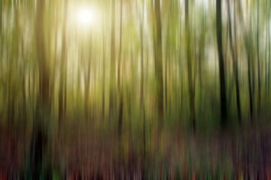 soyut orman arka plan