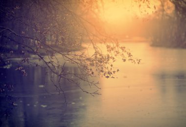 Vintage Fotoğraf günbatımı içinde Şubesi