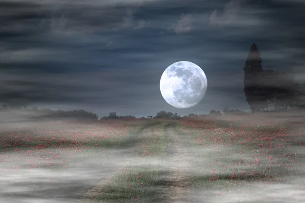 Moonrise över wild flower fält — Stockfoto