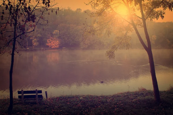 Idyllische herfst scène — Stockfoto