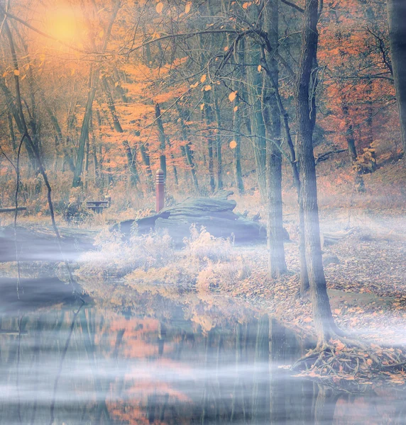 Gruseliger Wald im Nebel — Stockfoto