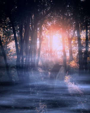 Spooky ormanı mezarlıkta