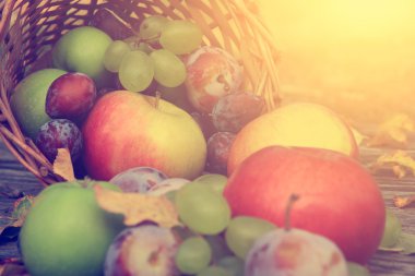 karışık sebze yakın çekim