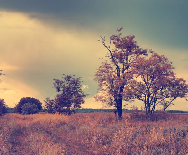 Vintage photo of autumn scene — Stock Photo, Image