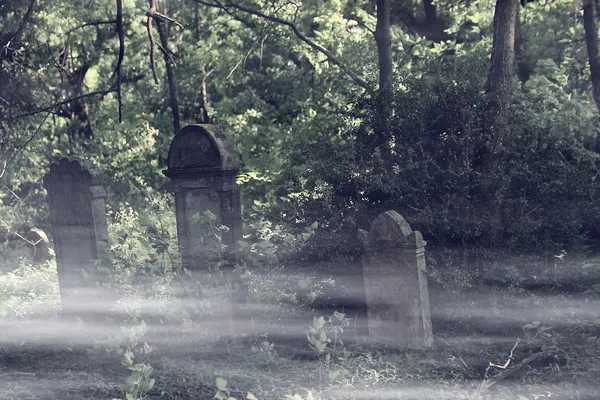 Заброшенное кладбище — стоковое фото