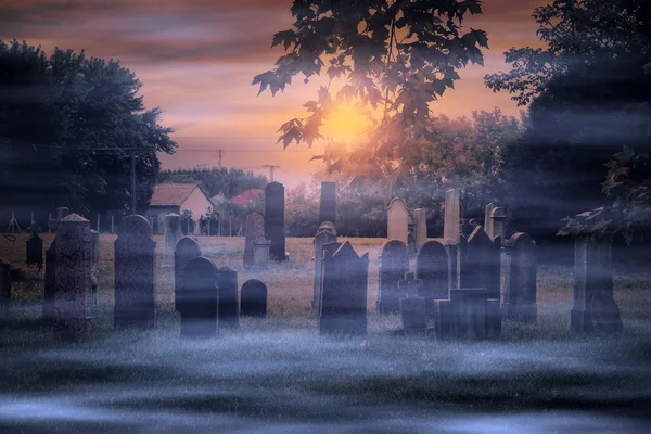 Spooky cemetery in the forest — Stock Photo, Image