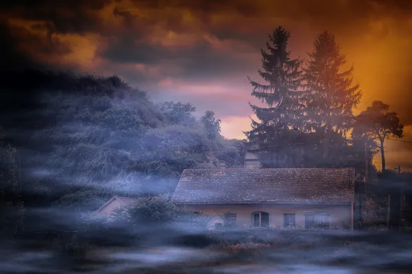 Casa assustadora na floresta — Fotografia de Stock