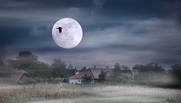 Notte nebbiosa e levata della luna sui terreni agricoli — Foto Stock