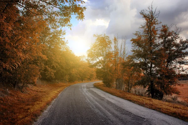 Hösten skogen road i solnedgången — Stockfoto