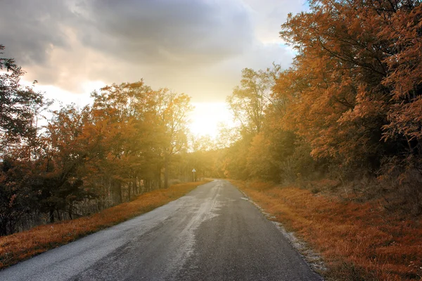 Estrada da floresta de outono no por do sol — Fotografia de Stock