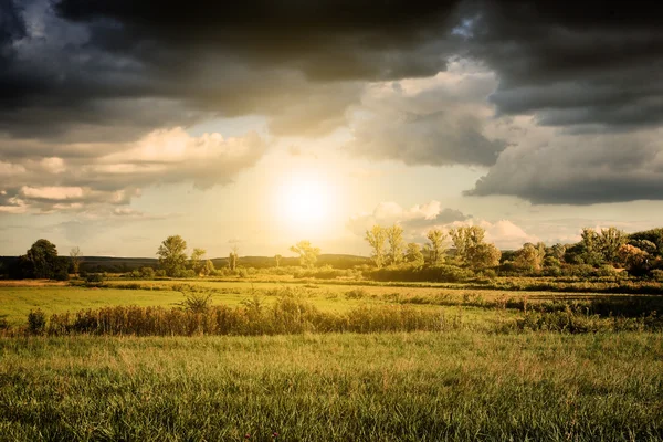 Solig äng — Stockfoto