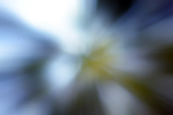 Heliotrop abstrakt bakgrund — Stockfoto
