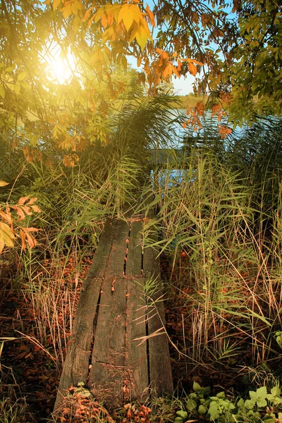 Brücke zum Holzsteg am See — Stockfoto