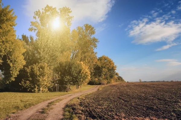 County road to farmland — Stock Photo, Image