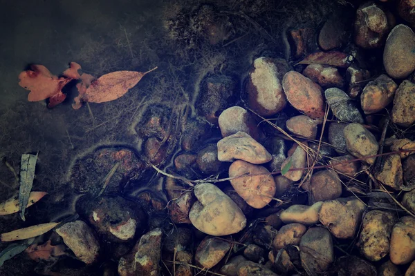 Foto vintage de folhas de outono e rochas na água — Fotografia de Stock