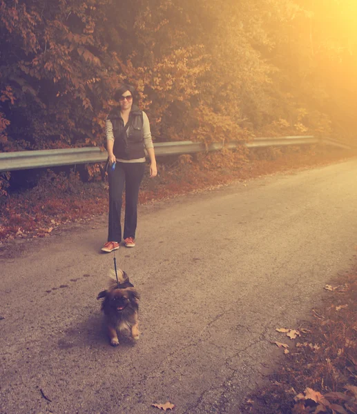 Vintage photo of young woman walking with her dog — Stock Photo, Image