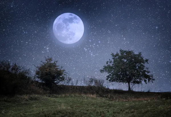 Árvore solitária e lua — Fotografia de Stock