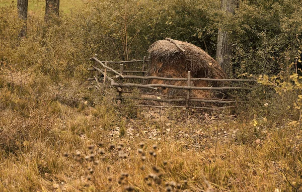 Natura autunno sfondo — Foto Stock