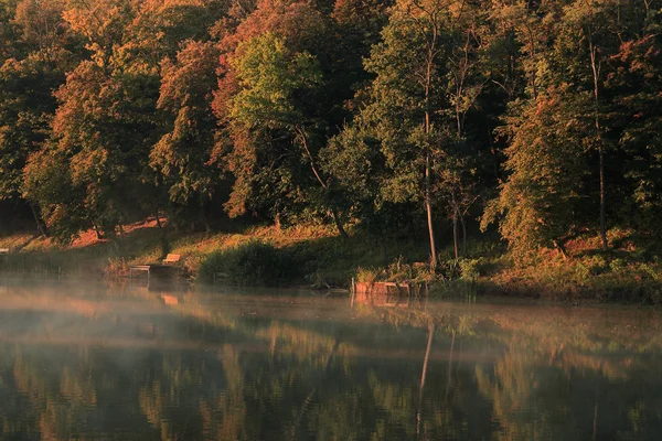 自然秋の背景 — ストック写真