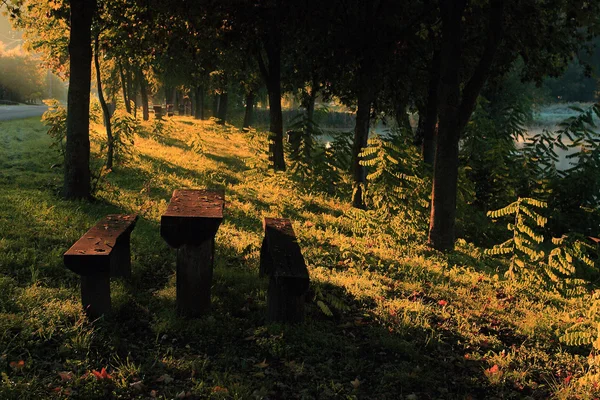 Picknicktisch im herbstlichen Wald — Stockfoto