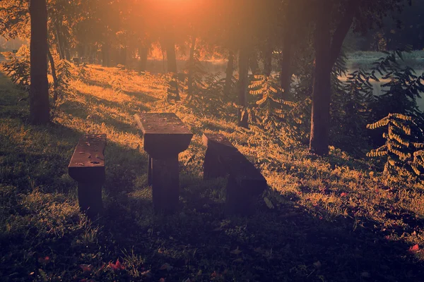 Picknickbord i höst skog — Stockfoto