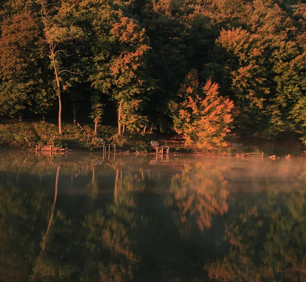 自然秋の背景 — ストック写真