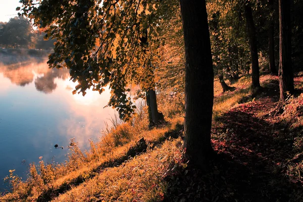 Foto vintage della scena autunnale — Foto Stock