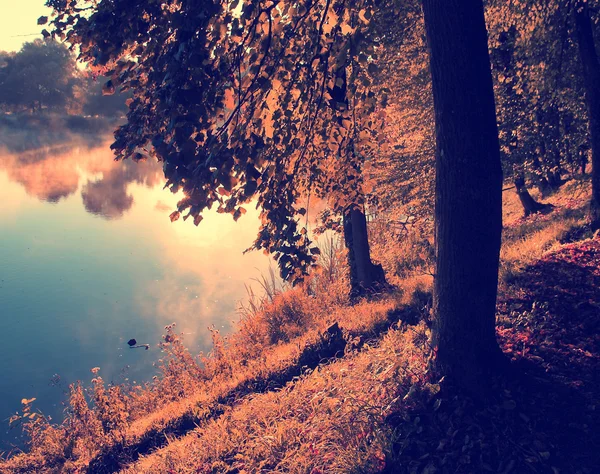 Jahrgangsfoto der Herbstszene — Stockfoto