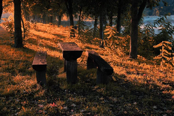 秋天的森林中野餐表 — 图库照片