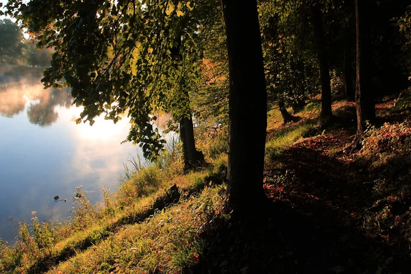 Foresta autunnale e lago all'alba — Foto Stock