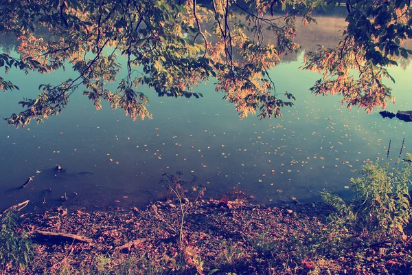 Vintage photo of autumn leaves and background lake — Stock Photo, Image