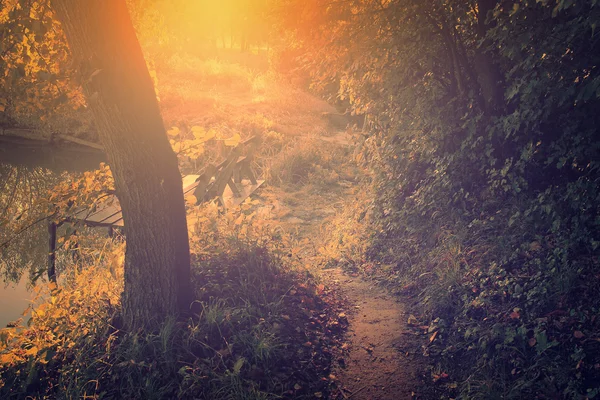 Vintage photo of autumn scene — Stock Photo, Image