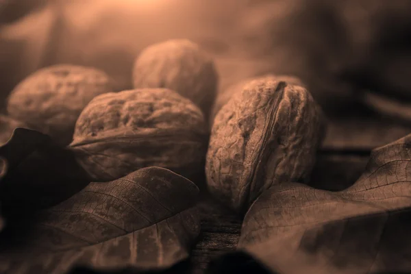 Орехи в листьях — стоковое фото