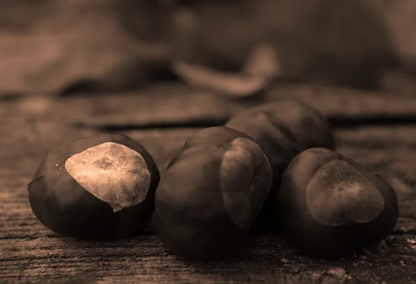 Group of chestnuts — Stock Photo, Image