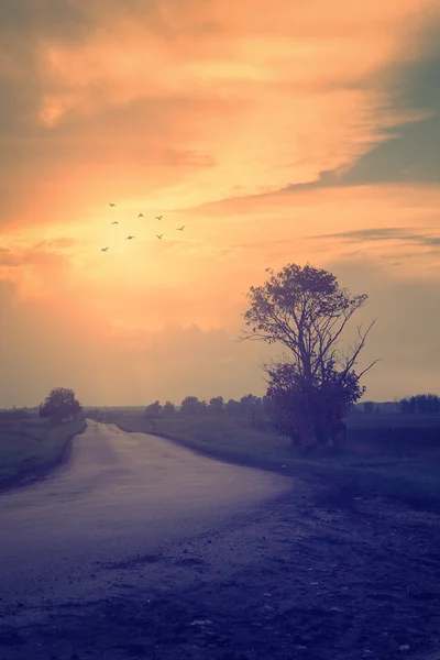 Foto vintage da estrada de tráfego no por do sol — Fotografia de Stock