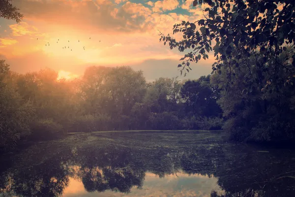 Scène d'automne naturelle avec lac — Photo