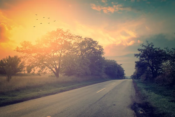Винтажное фото дороги на закате — стоковое фото