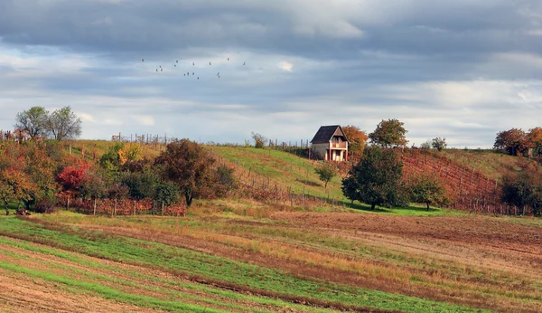 Foto vintage della scena autunnale — Foto Stock