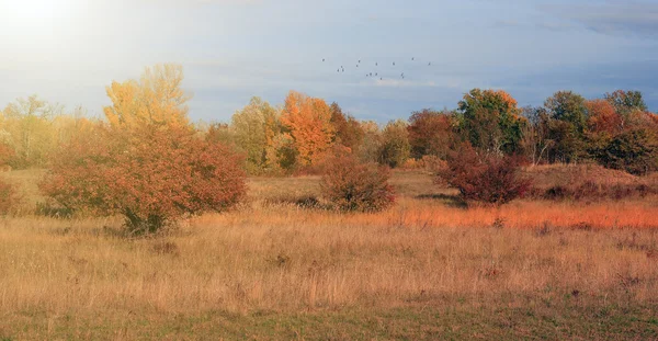 Noorse herfst scène — Stockfoto