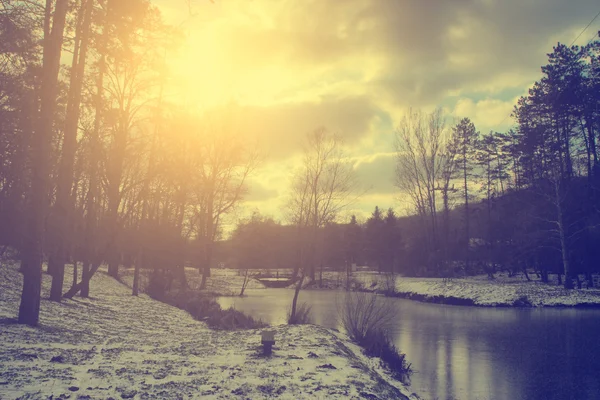 Винтажное фото идиллической зимней сцены — стоковое фото