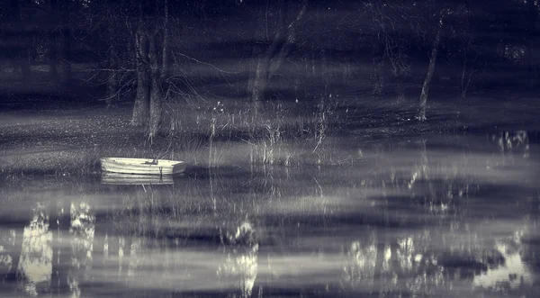Foto em preto e branco do barco no lago — Fotografia de Stock