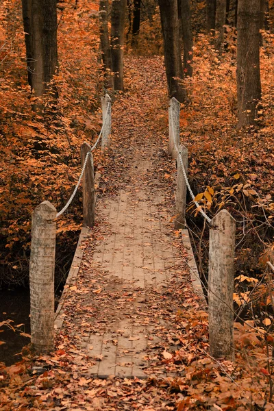 Brücke im Herbstwald — Stockfoto