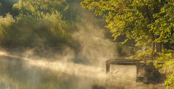Foggy lac dans la forêt d'automne — Photo