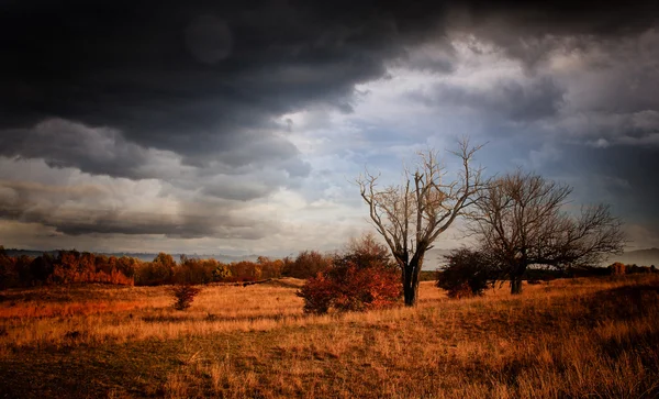 Осенний пейзаж перед бурей — стоковое фото