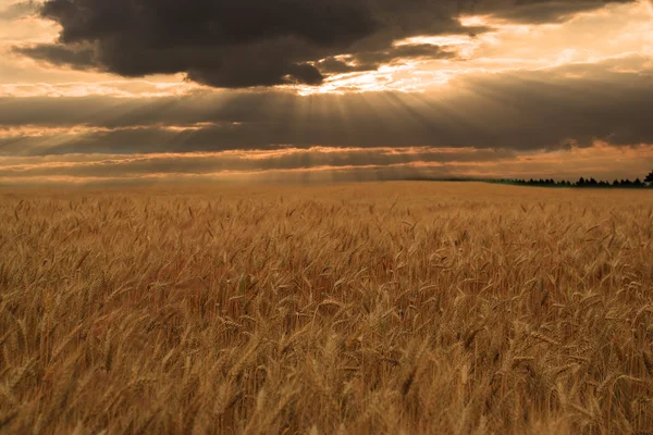 Lichtblick über landwirtschaftlichem Feld — Stockfoto