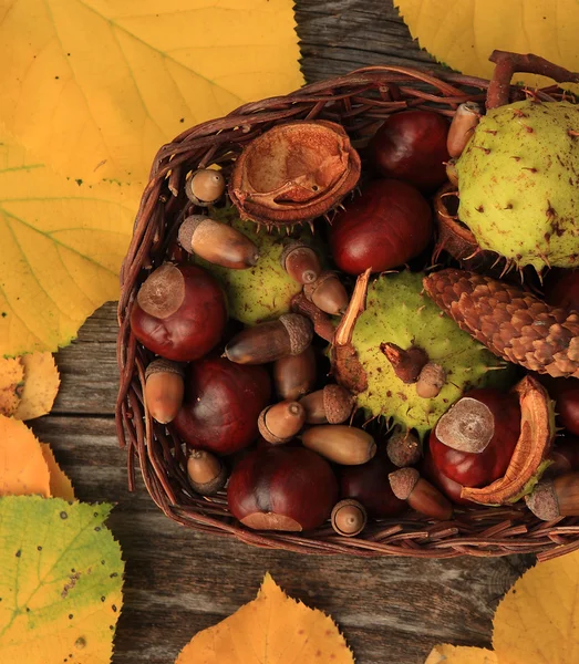 Autumnal background - basket with chestnuts — Stock Photo, Image